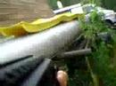 Awsome airsoft pwnage Awsome airsoft pwnage