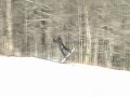mount snow trailor