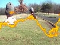 Playing disc golf in St. louis