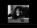 The Treatment: Andy's Animal Alphabet