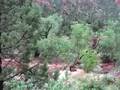 Zion Subway Flash Flood
