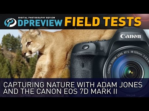 Click aici pentru vizualizare Capturing Nature with the Canon EOS 7D Mark II Capturing Nature with the Canon EOS 7D Mark II