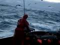 Dungeness Crabbing off the Washington Coast