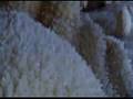 Grotte di Frasassi - la stanza del tesoro