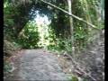 videos de BjÃ¸rn i Thailand 1 av 2 dag 72 11.12.2008