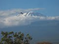 View on a clear Kilimanjaro from Moshi town View on a clear Kilimanjaro from Moshi town