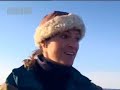 Polar bear play fight! BBC wildlife
