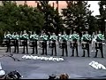 Cavies Lot \ Cavies Lot \