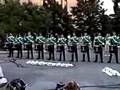 Cavies Lot '02