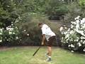 Batting Stances: Tigers