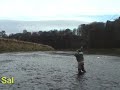 Double Spey salmo.proboards74.com