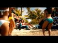 Shaggy feat Gary Nesta Pine - Fly High Video