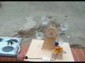 videos de Noria Solar