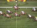 Rare Double Dead Heat in Single Race