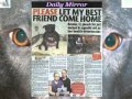 Lennox - Proud To Support Him