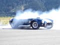 Cobra donuts