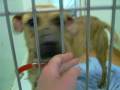 videos de Marsha at LCAS. URGENT!!!!