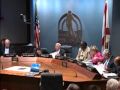 SNN: Sarasota Police advisory panel