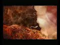 FECONDATION Animation science 3D FECONDATION Animation science 3D