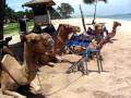 bali private beachバリ島プライベートビーチ 綺麗な海 ラクダ