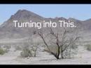 Ecycle Corporate Video