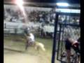charros de santiago2008