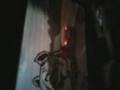 videos de peti plaisir