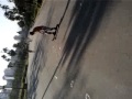 long board - quintal do ipiranga (lucas baker)