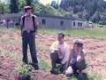 Brookside Farm - Growing Food, Growing Energy
