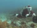 Florida Keys Scuba Diving Santa
