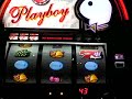 登録カテゴリー：Entertainment