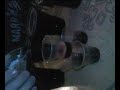 Experimento vasitos Calimotxo