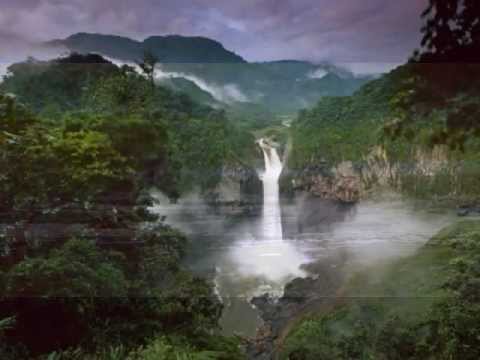 yasuni - Un equipo de científicos ha documentado que el Parque Nacional Yasuní, en el corazón de la Amazonía ecuatoriana, bate los registros mundiales de una amplia g...