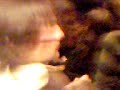 chant de noel des doublant pour les primant chant de noel des doublant pour les primant