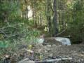 XR600R in the Woods
