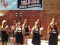 Wild Ace Pizza & Pub