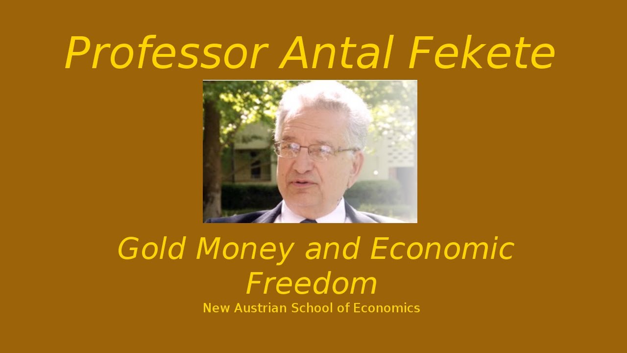 Part 10 - Antal Fekete - Gold's role in finance and the theory of interest I