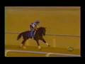 Horse Racing