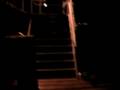 videos de Busselton fishing 2008 Dec