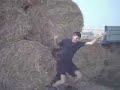 Arf corre verso le balle di fieno