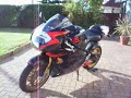 Aprillia RSV factory  The beast growls