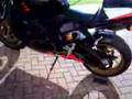 Aprillia RSV factory The beast growls