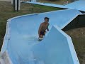 waterslidesstampede-action.html