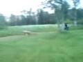 videos de finsk moppe vurpa