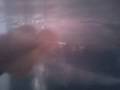 videos de 9 x 5 inch super red arowana