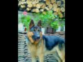 Max 1 year