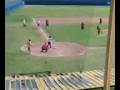 videos de ANIMAL BEISBOL.3GP