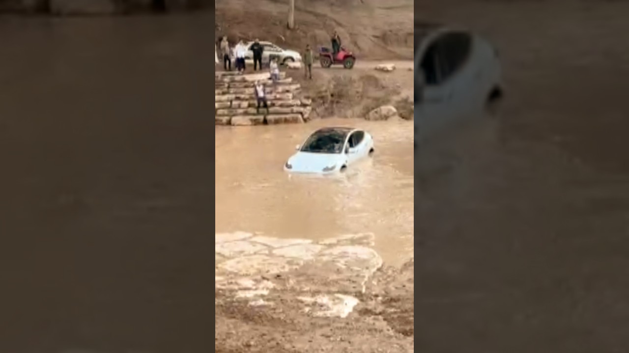 טסלה מודל Y בצרה, טבעה בשלולית או נחלצה?