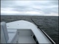Raw HB Neptune footages