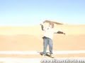 Air Horn Prank